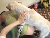 Sex-charged never before seen amateur mounted and fucked really deep by a sex-charged K9